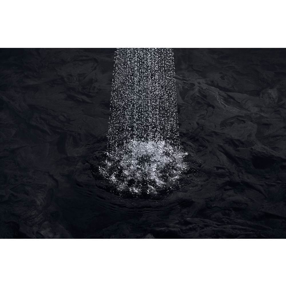 Awaken G90 Single-function showerhead, 1.75 gpm