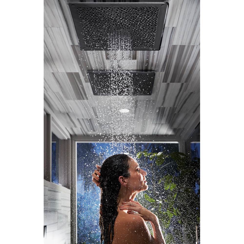 Real Rain 19'' two-function overhead shower panel, 1.75 gpm