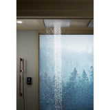 Real Rain 19'' two-function overhead shower panel, 1.75 gpm
