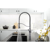 Tournant Semi-professional kitchen sink faucet with three-function sprayhead