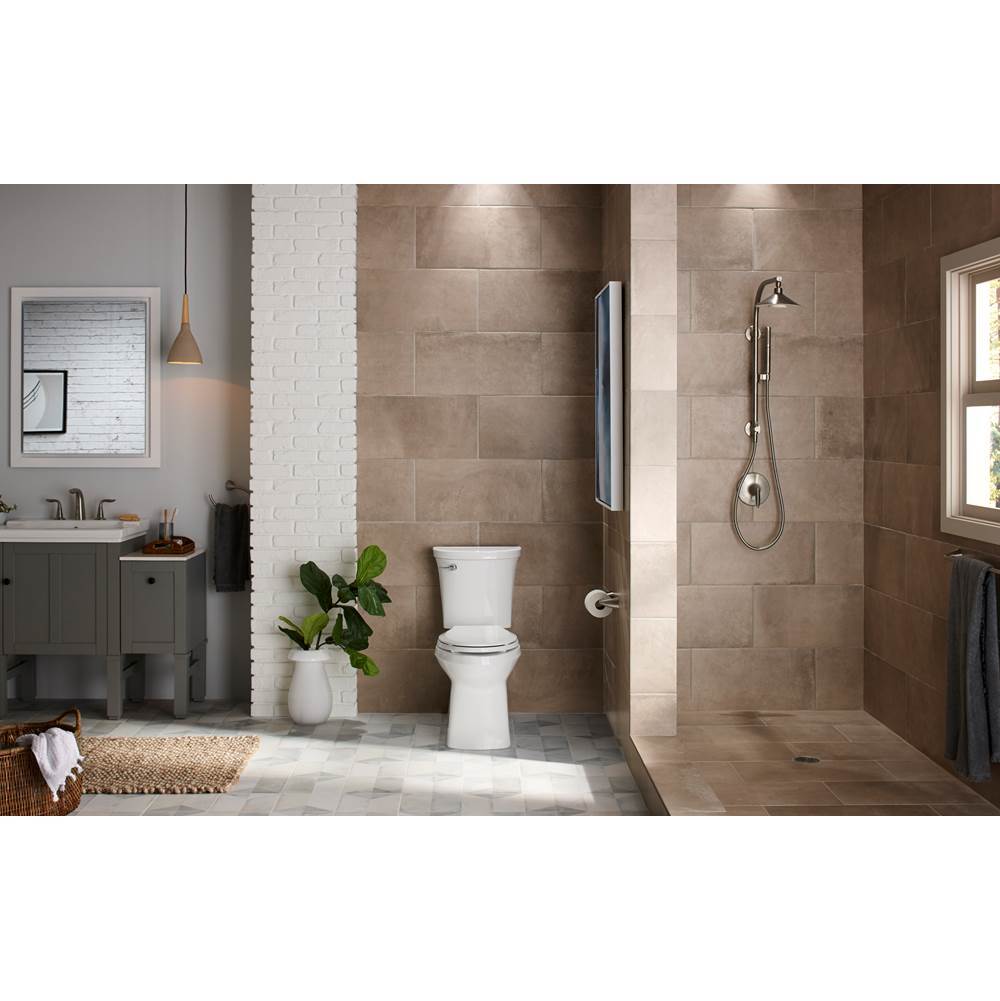 HydroRail-R Arch shower column