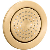 Kohler - WaterTile Round 54-nozzle single-function body spray, 2.0 gpm - Vibrant Brushed Moderne Brass
