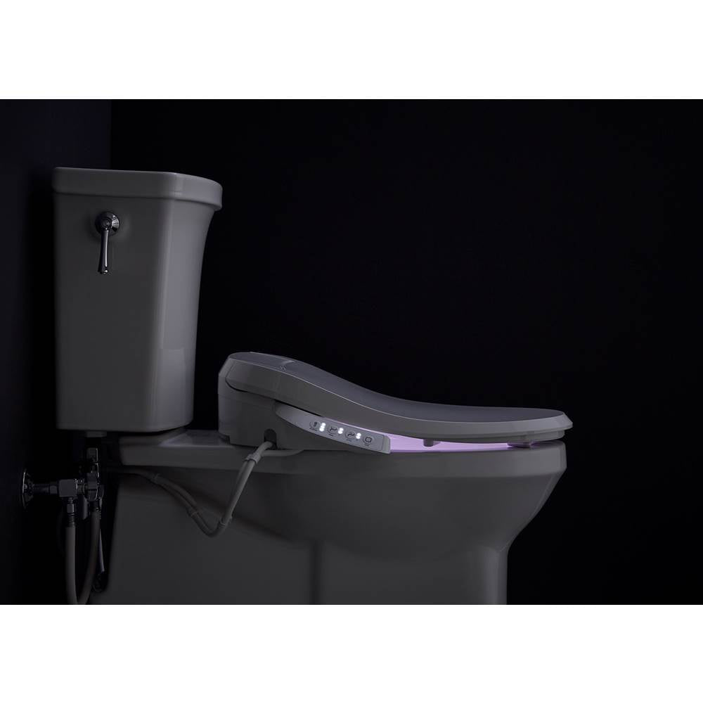 PureWash E545 Elongated bidet toilet seat