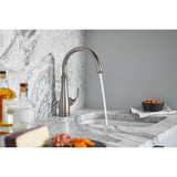 Bellera Single-handle bar sink faucet