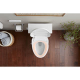 Artifacts Pivoting toilet paper holder