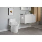 Veil One-piece elongated toilet with skirted trapway, dual-flush