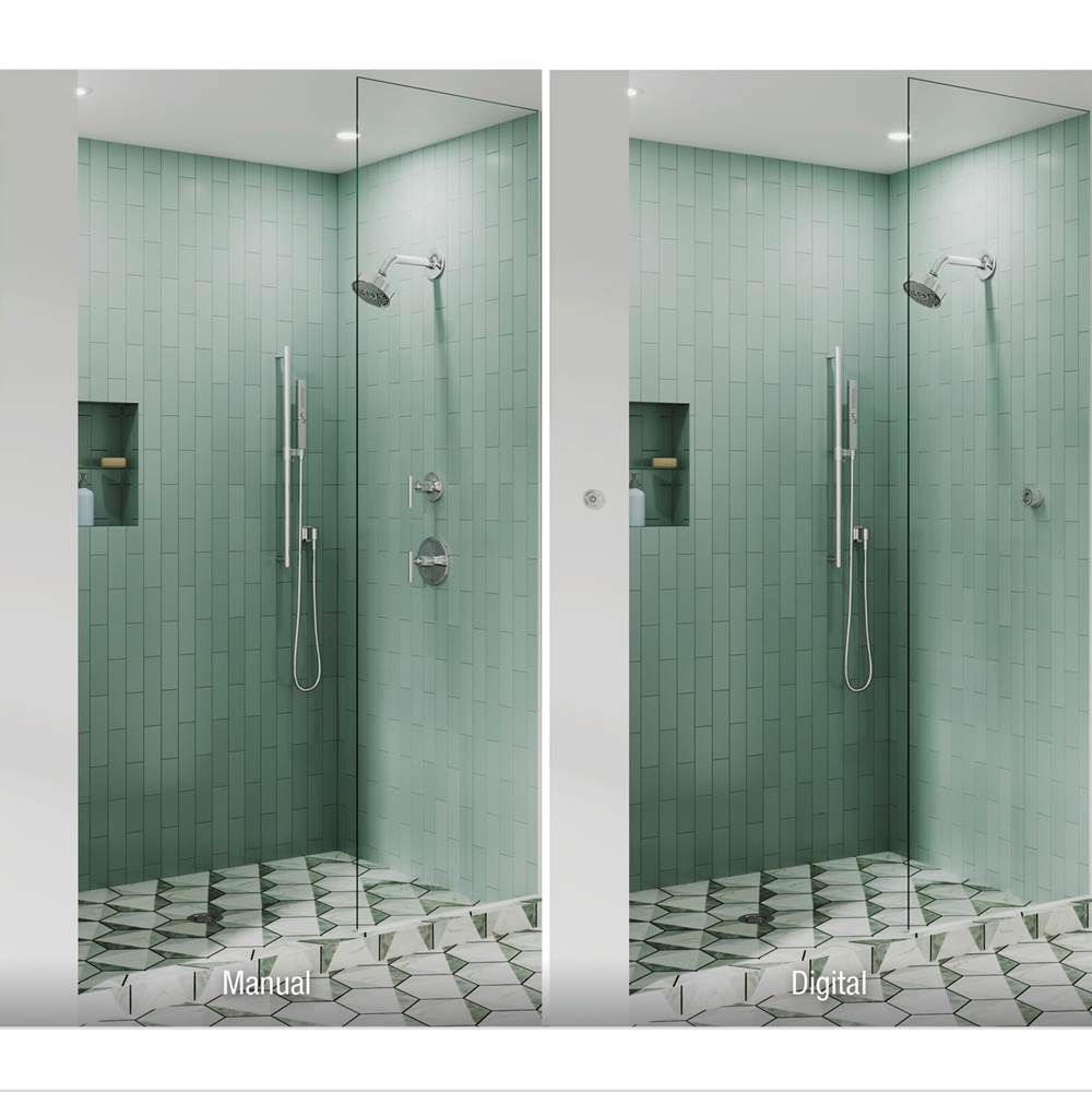 DTV Mode Dual-outlet shower digital interface