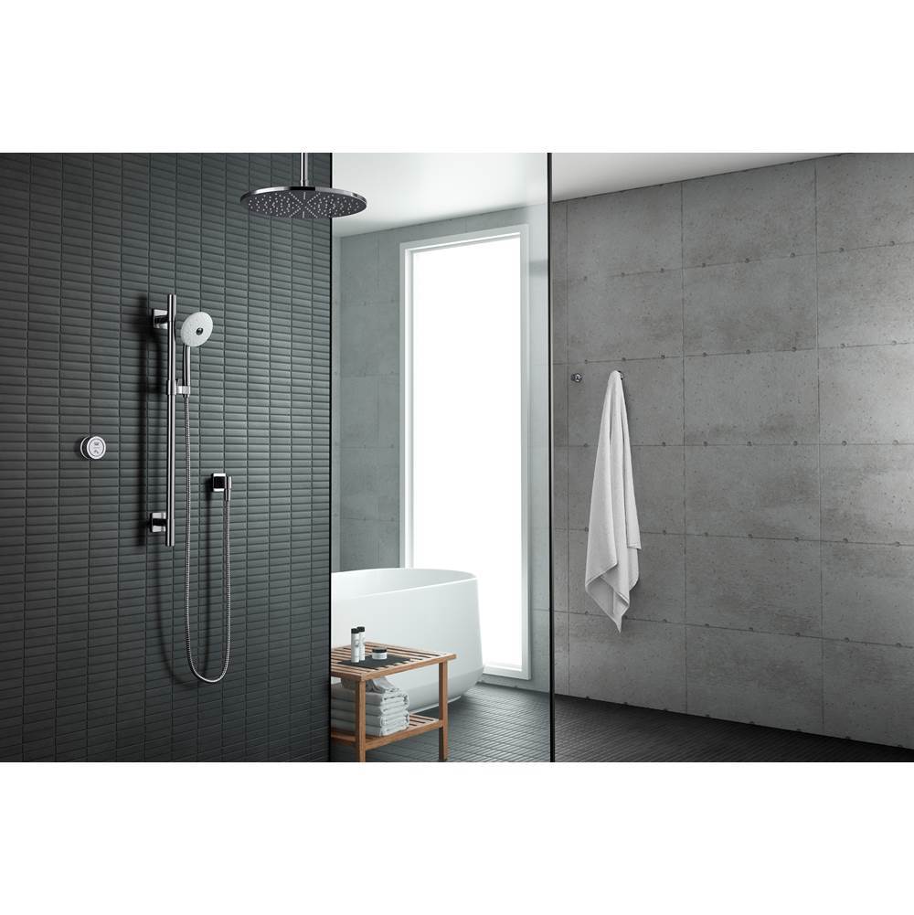 DTV Mode Dual-outlet shower digital interface