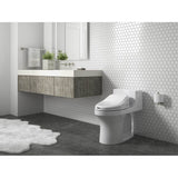 San Souci Hidden cord one-piece compact elongated toilet with concealed trapway, 1.28 gpf toilet