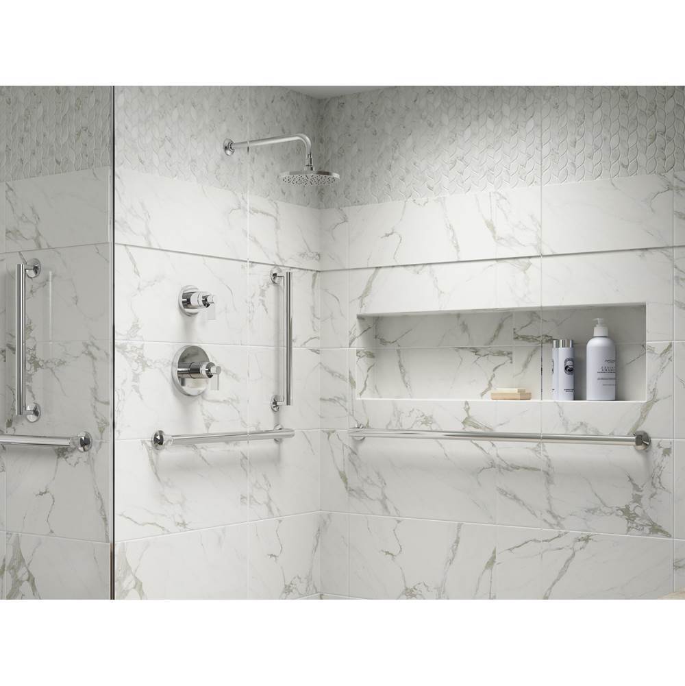 ComponentsE 42'' grab bar