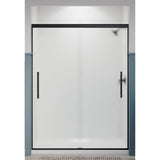 Pleat Frameless sliding shower door, 79-1/16'' H x 54-5/8 - 59-5/8'' W, with 5/16'' thick Frosted glass