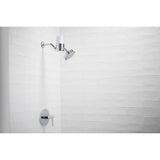 Aquifer Shower filter