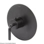 Lacava - TRIM ONLY - Regular Thermostat, flow rate 10 GPM, curved lever handle on round knob, round backplate - Polished Nickel