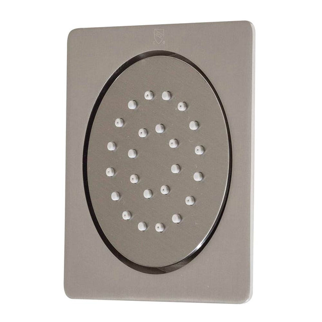 Lenova - Shower Spray - Brushed Nickel