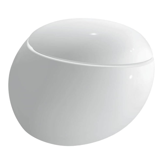 Laufen - Wall-hung WC, Washdown, Closed Water Rim, For USA - Matte White