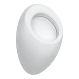 Laufen - Siphonic Urinal, Internal Water Inlet, Version Without Cover - Matte Black