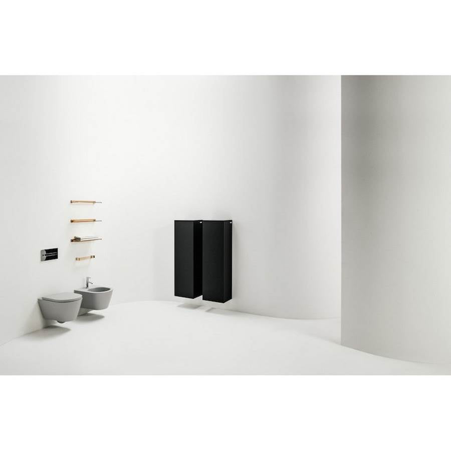 Wall hanging Water Closet Bowl, rimless, washdown