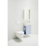 Wall hanging Water Closet Bowl, rimless, washdown