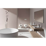 Wall hanging Bidet