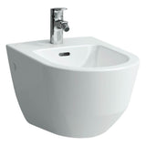 Wall hanging bidet