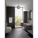 Wall hanging bidet