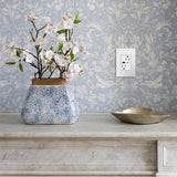 adorne Dual-USB, 15A, Tamper-Resistant, A/C USB Hybrid Outlet, White