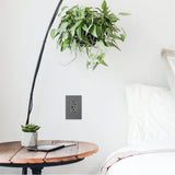 adorne Dual-USB, 20A, Tamper-Resistant, A/C USB Hybrid Outlet, Magnesium