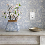 adorne Dual-USB, 20A, Tamper-Resistant, A/C USB Hybrid Outlet, White
