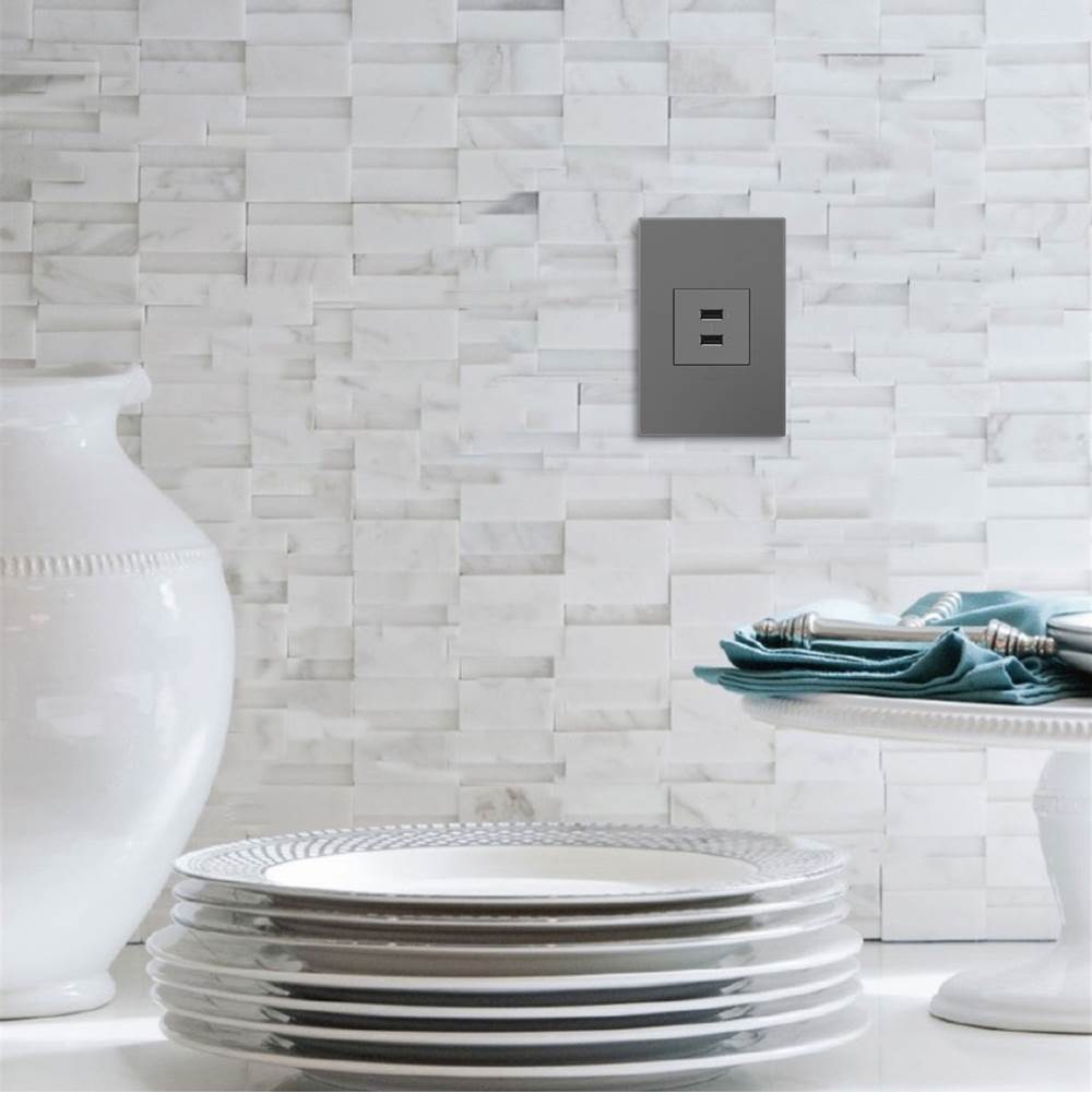 adorne Full-Size, A/A USB Outlet, Magnesium