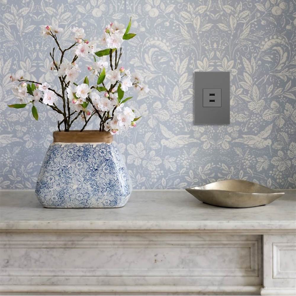 adorne Full-Size, A/A USB Outlet, Magnesium