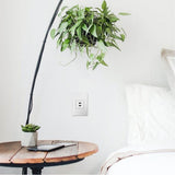 adorne Full-Size, A/A USB Outlet, White