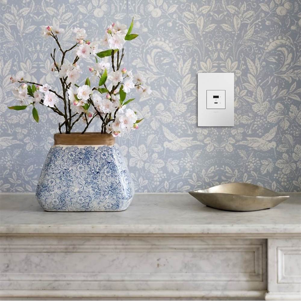 adorne Full-Size, Hybrid USB Outlet, A/C USB Outlet, White