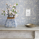 adorne Full-Size, Hybrid USB Outlet, A/C USB Outlet, White