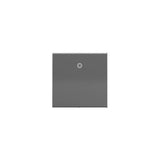 Paddle Switch, 277V