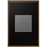 Brushed Stainless Steel, 1-Gang Wall Plate