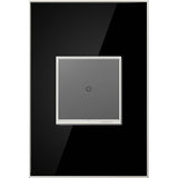 Custom Wall Plate, 1-Gang, Magnesium Trim
