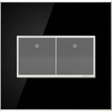 Custom Wall Plate, 2-Gang, Magnesium Trim