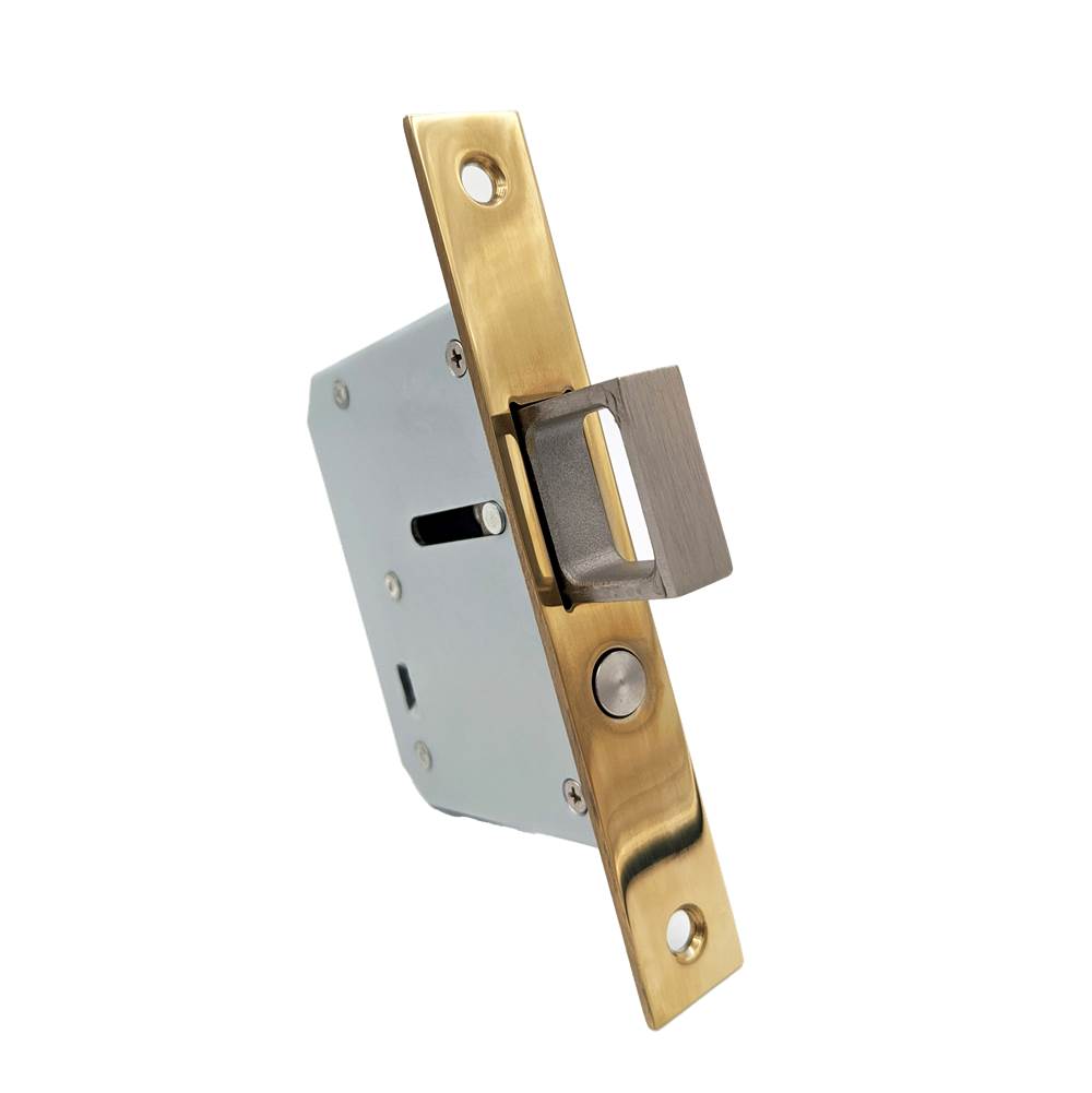 Linnea - Mortised Faceplate With Pop-Out Edge Pull. Faceplate: 138mm Length, 20mm Width. 304 Stainless Steel. - Pvd Satin Brass