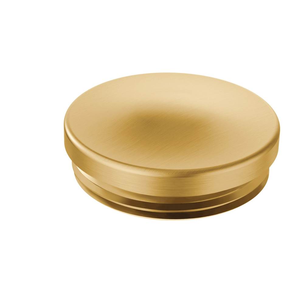 HINGE PIN CAP CHR