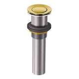 Moen - WASTE_ASSEMBLY - Polished Brass