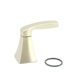 HANDLE KIT COLD CHR