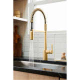 Align One Handle Pre-Rinse Spring Pulldown Kitchen Faucet with Power Boost, Chrome