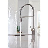 Align One Handle Pre-Rinse Spring Pulldown Kitchen Faucet with Power Boost, Chrome