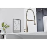 Sleek One Handle Pre-Rinse Spring Pulldown Kitchen Faucet with Power Boost, Chrome