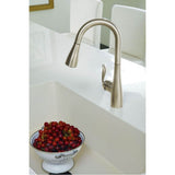 Arbor One-Handle High Arc Pulldown Single Mount Bar Faucet with Reflex, Chrome
