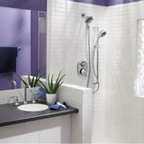 Icon 5-7/8'' One-Function Showerhead with 2.5 GPM Flow Rate, Chrome