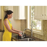 Brantford One-Handle Pullout Kitchen Faucet Featuring Power Clean and Reflex, Spot Resist Stainless