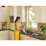 Brantford One-Handle Pullout Kitchen Faucet Featuring Power Clean and Reflex, Spot Resist Stainless