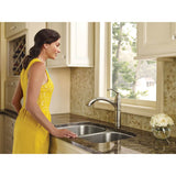 Brantford One-Handle Pullout Kitchen Faucet Featuring Power Clean and Reflex, Spot Resist Stainless
