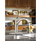 Camerist One-Handle Pullout Kitchen Faucet Featuring Power Clean and Reflex, Oil Rubbed Bronze